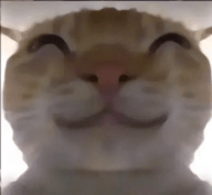 威尼斯wns777偷吃模拟器开容器模拟器下载-威尼斯wns777偷吃模拟器开容器模拟器手游官方下载v1.0.6